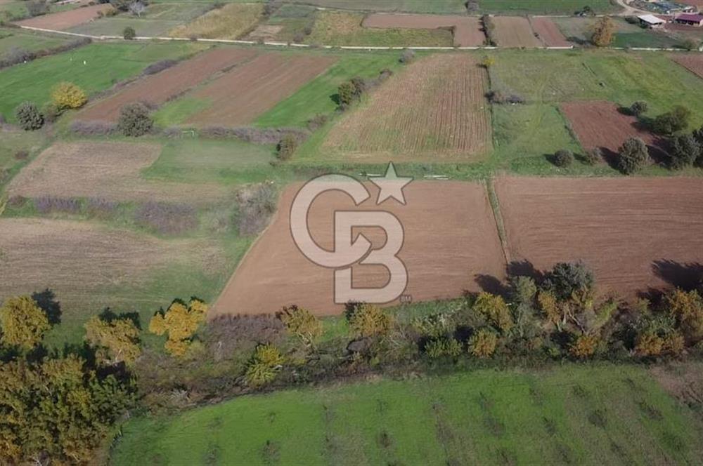 ÇANAKKALE BAYRAMİÇ YAHŞİELİ KÖYÜ 2875 M2 TARLA