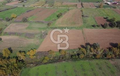 ÇANAKKALE BAYRAMİÇ YAHŞİELİ KÖYÜ 2875 M2 TARLA