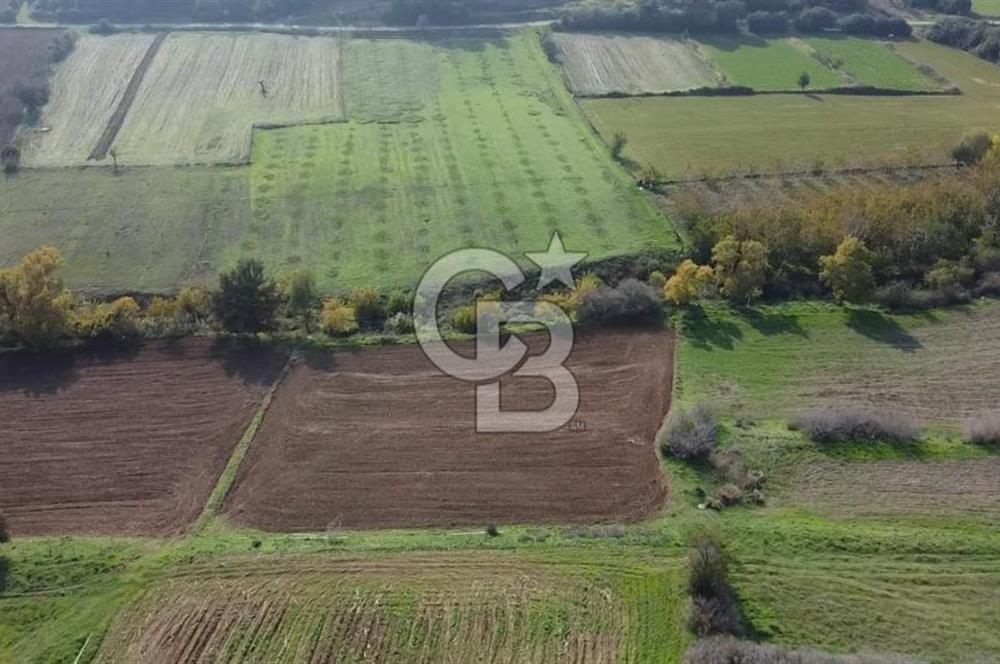 ÇANAKKALE BAYRAMİÇ YAHŞİELİ KÖYÜ 2875 M2 TARLA