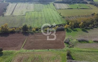 ÇANAKKALE BAYRAMİÇ YAHŞİELİ KÖYÜ 2875 M2 TARLA