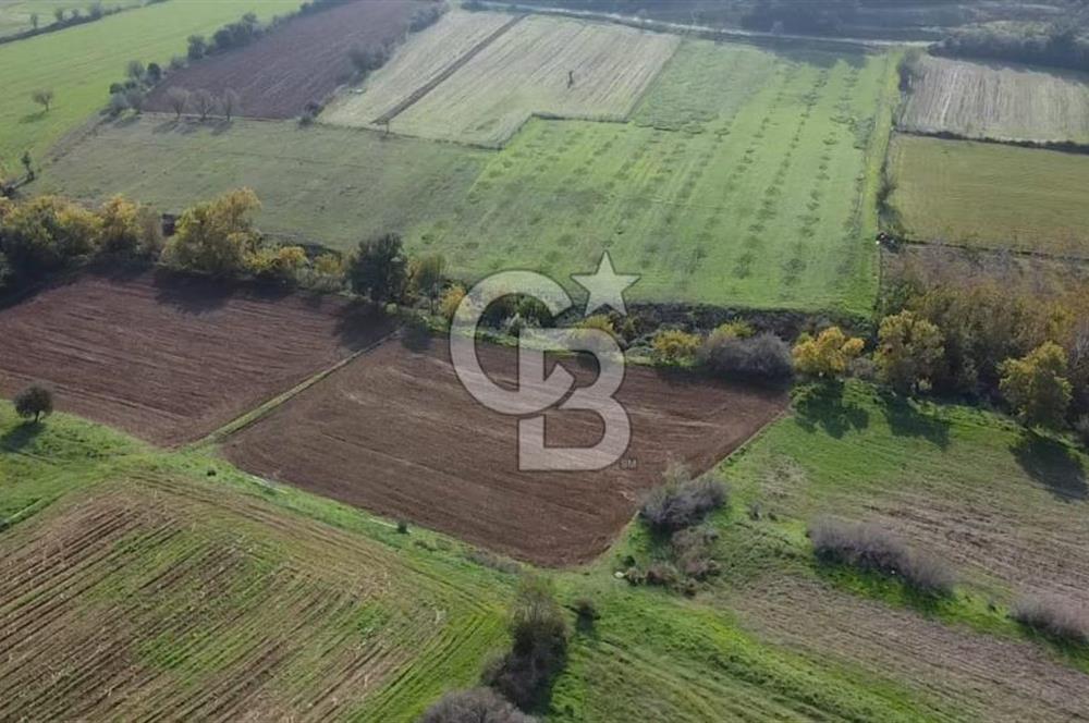 ÇANAKKALE BAYRAMİÇ YAHŞİELİ KÖYÜ 2875 M2 TARLA