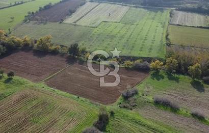 ÇANAKKALE BAYRAMİÇ YAHŞİELİ KÖYÜ 2875 M2 TARLA