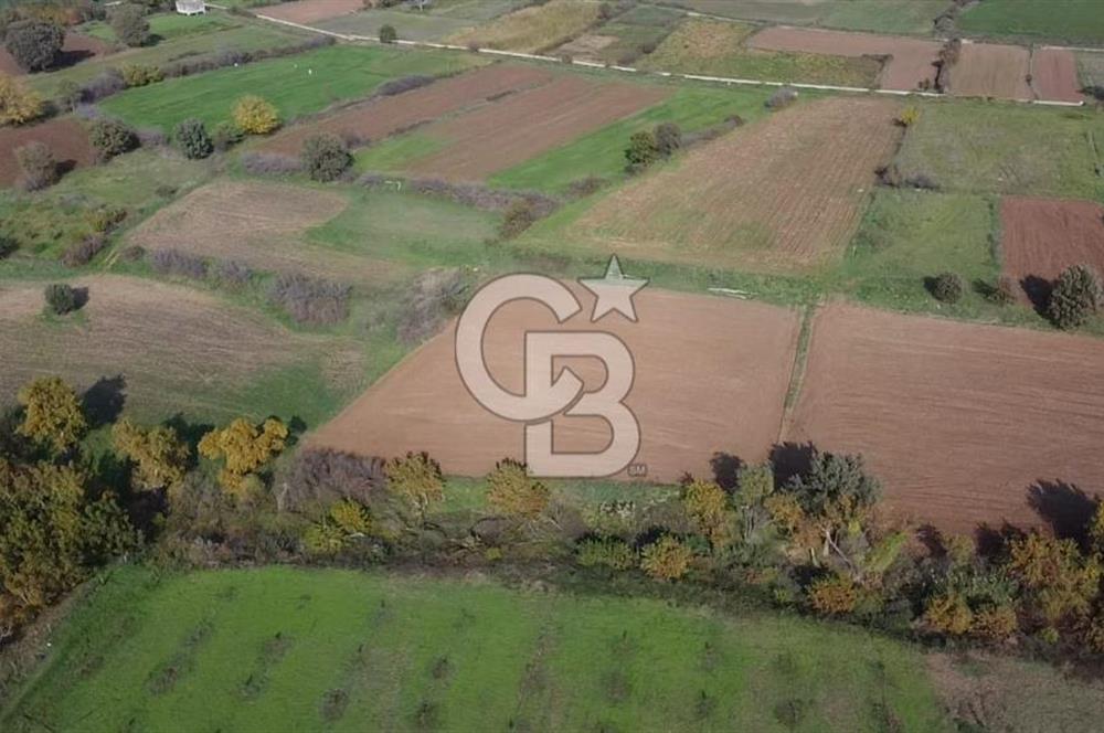 ÇANAKKALE BAYRAMİÇ YAHŞİELİ KÖYÜ 2875 M2 TARLA