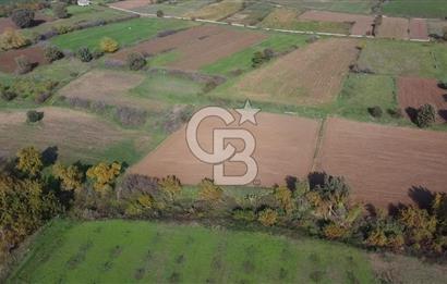 ÇANAKKALE BAYRAMİÇ YAHŞİELİ KÖYÜ 2875 M2 TARLA