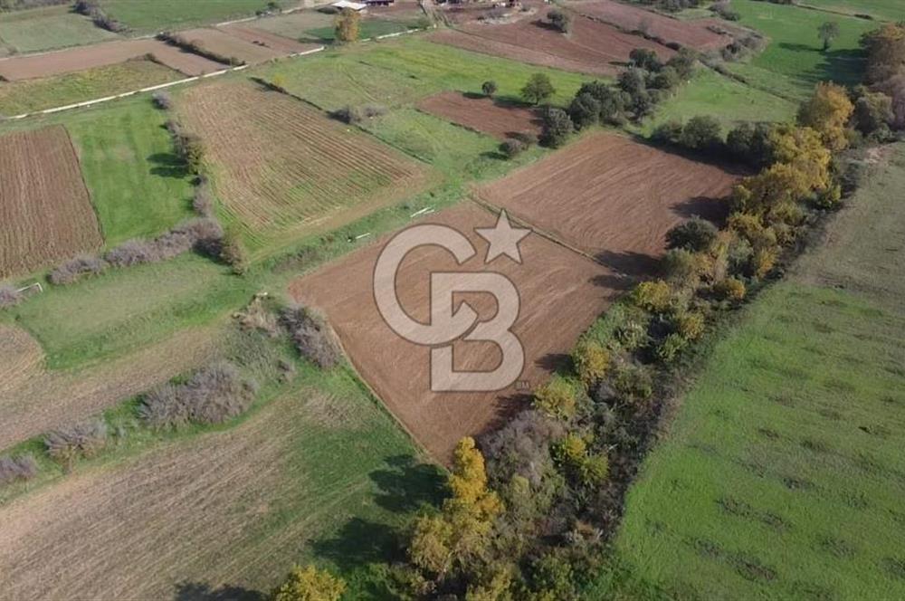 ÇANAKKALE BAYRAMİÇ YAHŞİELİ KÖYÜ 2875 M2 TARLA