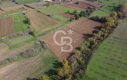 ÇANAKKALE BAYRAMİÇ YAHŞİELİ KÖYÜ 2875 M2 TARLA