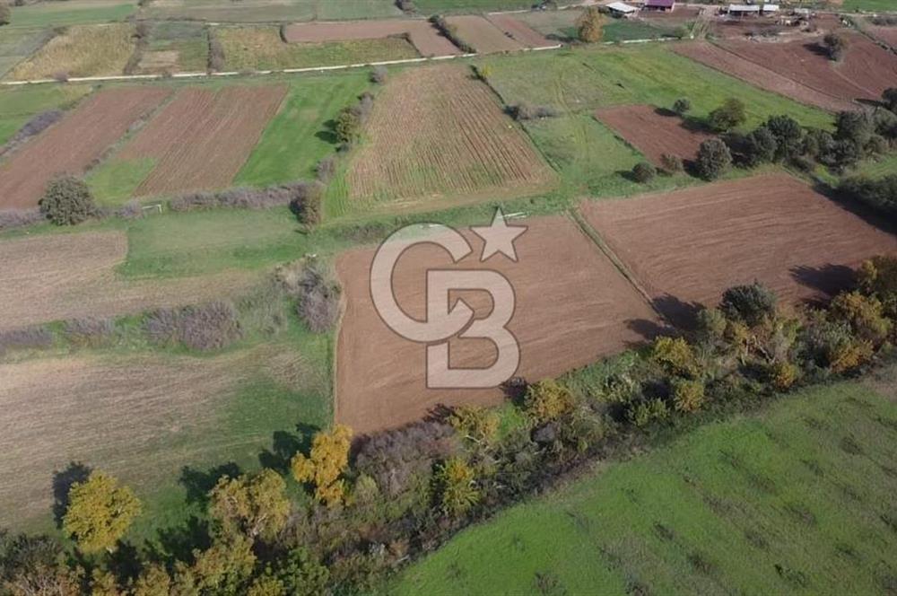 ÇANAKKALE BAYRAMİÇ YAHŞİELİ KÖYÜ 2875 M2 TARLA