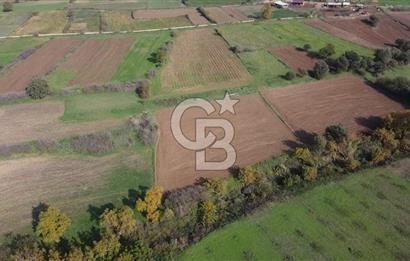 ÇANAKKALE BAYRAMİÇ YAHŞİELİ KÖYÜ 2875 M2 TARLA