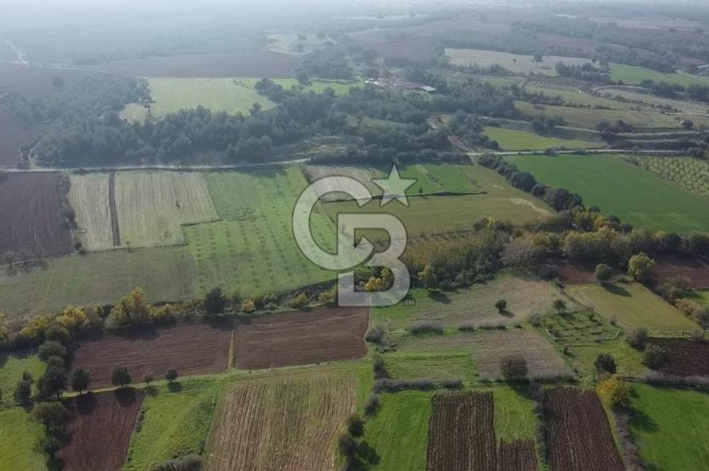 ÇANAKKALE BAYRAMİÇ YAHŞİELİ KÖYÜ 2875 M2 TARLA