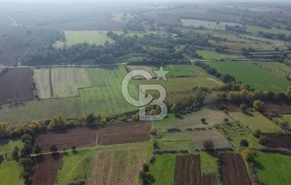 ÇANAKKALE BAYRAMİÇ YAHŞİELİ KÖYÜ 2875 M2 TARLA