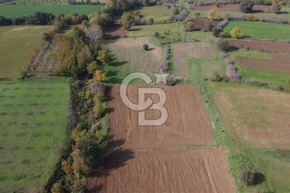 ÇANAKKALE BAYRAMİÇ YAHŞİELİ KÖYÜ 2875 M2 TARLA