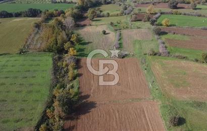ÇANAKKALE BAYRAMİÇ YAHŞİELİ KÖYÜ 2875 M2 TARLA
