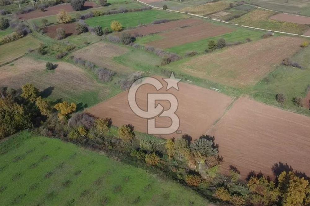 ÇANAKKALE BAYRAMİÇ YAHŞİELİ KÖYÜ 2875 M2 TARLA