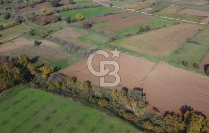 ÇANAKKALE BAYRAMİÇ YAHŞİELİ KÖYÜ 2875 M2 TARLA