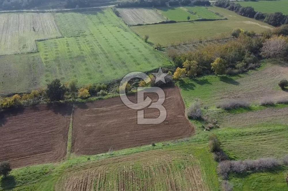 ÇANAKKALE BAYRAMİÇ YAHŞİELİ KÖYÜ 2875 M2 TARLA