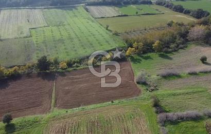ÇANAKKALE BAYRAMİÇ YAHŞİELİ KÖYÜ 2875 M2 TARLA