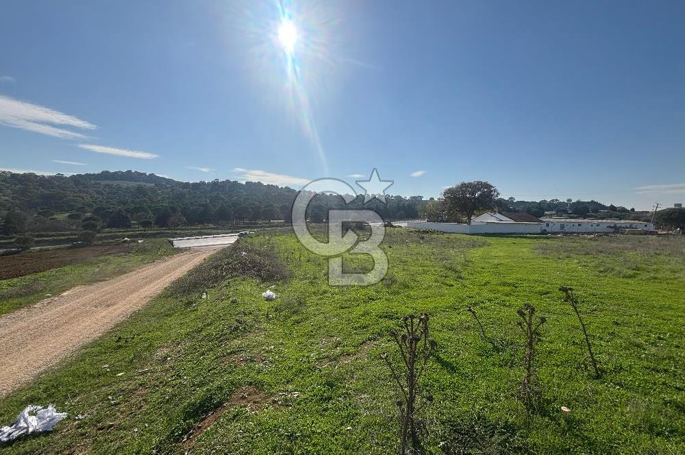 CB KİNG'DEN BALIKESİR/BURSA O.Y TİCARİ+KONUT İMARLI SATILIK ARSA