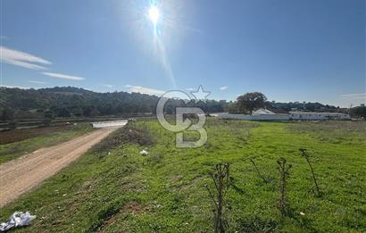 CB KİNG'DEN BALIKESİR/BURSA O.Y TİCARİ+KONUT İMARLI SATILIK ARSA
