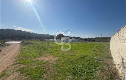 CB KİNG'DEN BALIKESİR/BURSA O.Y TİCARİ+KONUT İMARLI SATILIK ARSA