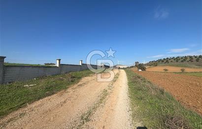 CB KİNG'DEN BALIKESİR/BURSA O.Y TİCARİ+KONUT İMARLI SATILIK ARSA