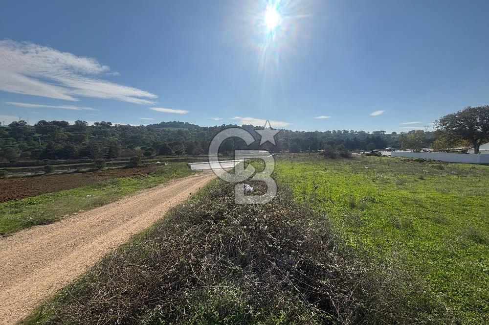 CB KİNG'DEN BALIKESİR/BURSA O.Y TİCARİ+KONUT İMARLI SATILIK ARSA