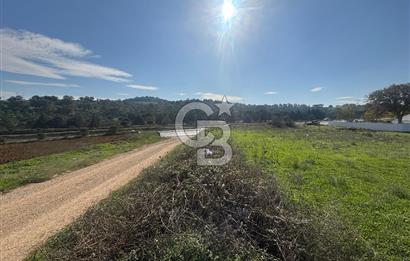 CB KİNG'DEN BALIKESİR/BURSA O.Y TİCARİ+KONUT İMARLI SATILIK ARSA