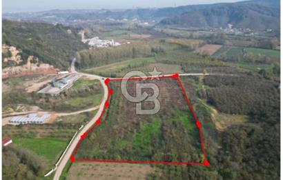 Yatırım ve Tarım İçin Eşsiz Fırsat Karasu'da Köşe Parsel !