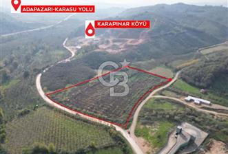 Yatırım ve Tarım İçin Eşsiz Fırsat Karasu'da Köşe Parsel ! - 1 - 313817