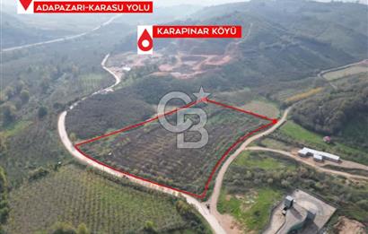 Yatırım ve Tarım İçin Eşsiz Fırsat Karasu'da Köşe Parsel !