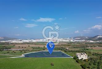 ALİĞA GÜZELHİSAR YATIRIMLIK TARLA FIRSATI 12.759m² - 4 - 313862