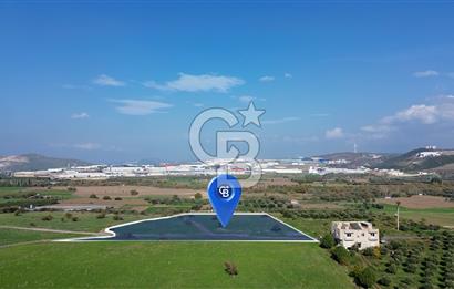 ALİĞA GÜZELHİSAR YATIRIMLIK TARLA FIRSATI 12.759m²