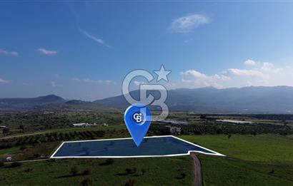 ALİĞA GÜZELHİSAR YATIRIMLIK TARLA FIRSATI 12.759m²