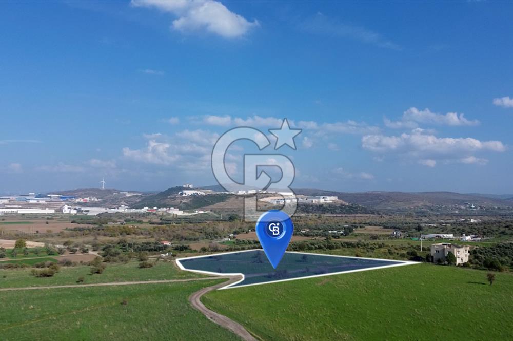 ALİĞA GÜZELHİSAR YATIRIMLIK TARLA FIRSATI 12.759m²