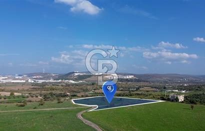 ALİĞA GÜZELHİSAR YATIRIMLIK TARLA FIRSATI 12.759m²