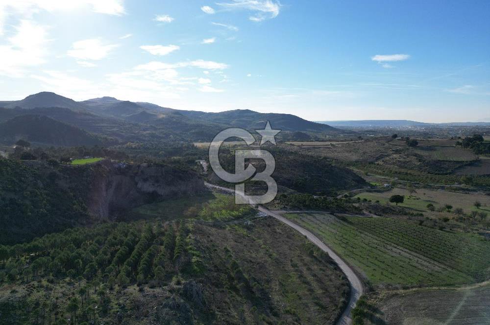 ÇANAKKALE MERKEZ KAYADERE KÖYÜNDE FIRSAT ZEYTİNLİK