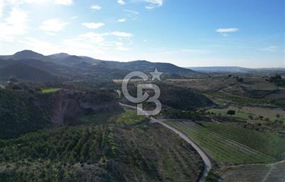 ÇANAKKALE MERKEZ KAYADERE KÖYÜNDE FIRSAT ZEYTİNLİK