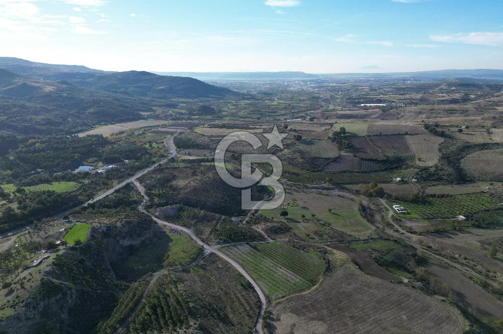 ÇANAKKALE MERKEZ KAYADERE KÖYÜNDE FIRSAT ZEYTİNLİK