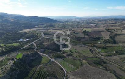 ÇANAKKALE MERKEZ KAYADERE KÖYÜNDE FIRSAT ZEYTİNLİK