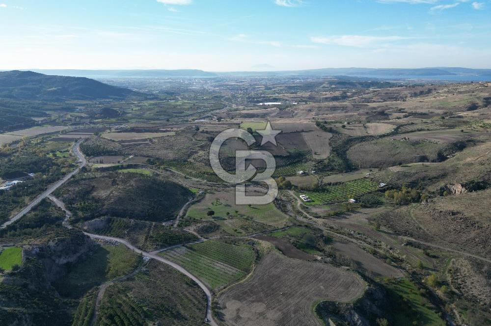 ÇANAKKALE MERKEZ KAYADERE KÖYÜNDE FIRSAT ZEYTİNLİK