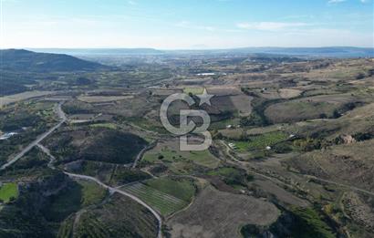 ÇANAKKALE MERKEZ KAYADERE KÖYÜNDE FIRSAT ZEYTİNLİK