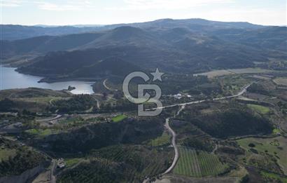 ÇANAKKALE MERKEZ KAYADERE KÖYÜNDE FIRSAT ZEYTİNLİK