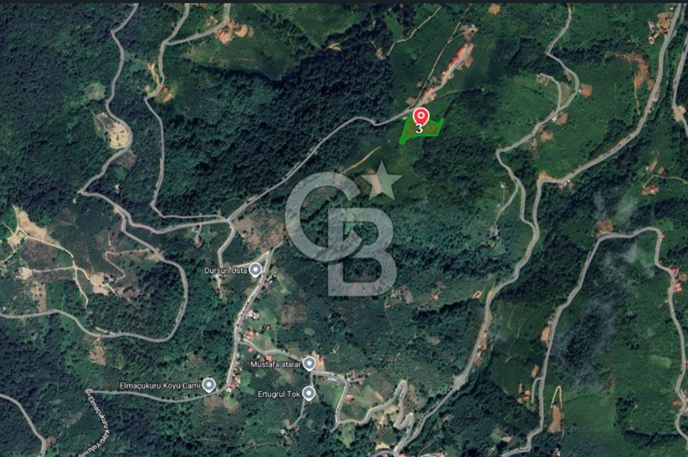 COLDWELL BANKER VONA MUSTAFA ŞEN'DEN SATILIK FINDIK BAHÇESİ