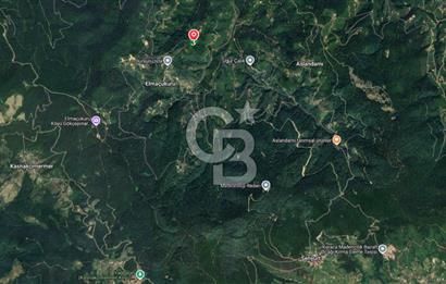 COLDWELL BANKER VONA MUSTAFA ŞEN'DEN SATILIK FINDIK BAHÇESİ