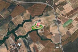 Tekirdağ Saray Kurtderede 10.000 m² Satılık Fırsat Tarla! - 6 - 313899