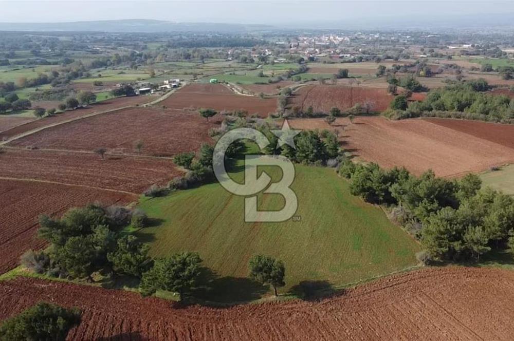 ÇANAKKALE BAYRAMİÇ YAHŞİELİ KÖYÜNDE 6.5 DÖNÜM YATIRIMLIK TARLA !!!