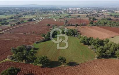 ÇANAKKALE BAYRAMİÇ YAHŞİELİ KÖYÜNDE 6.5 DÖNÜM YATIRIMLIK TARLA !!!