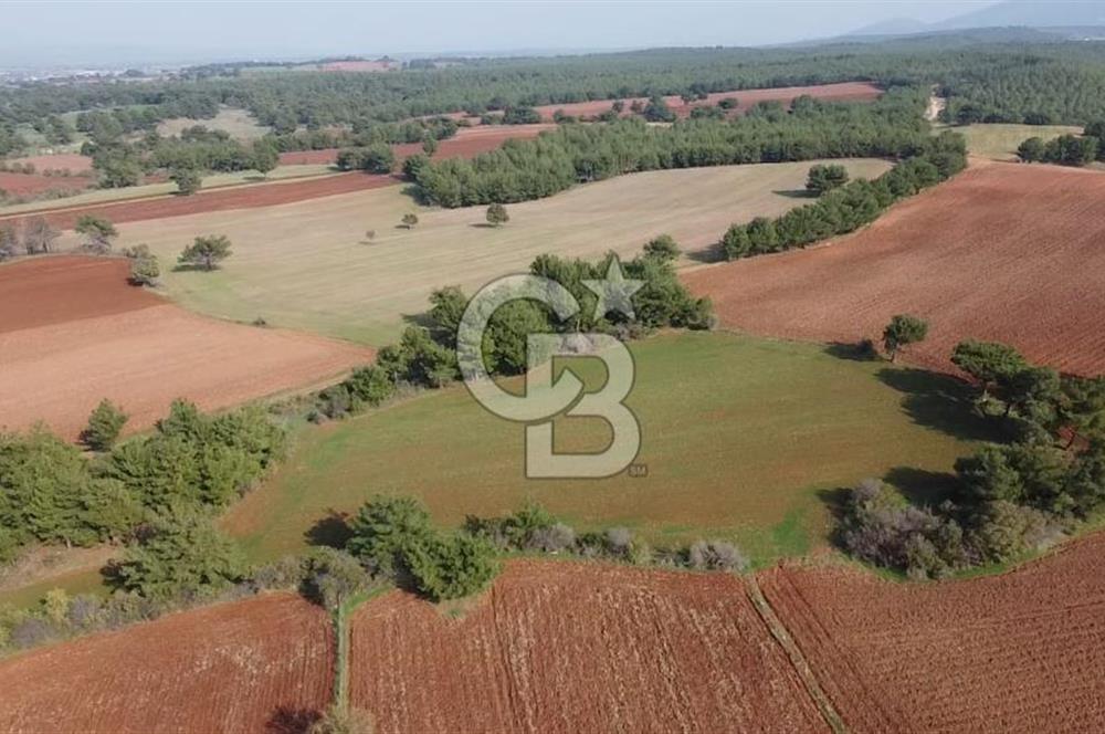 ÇANAKKALE BAYRAMİÇ YAHŞİELİ KÖYÜNDE 6.5 DÖNÜM YATIRIMLIK TARLA !!!