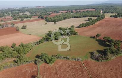 ÇANAKKALE BAYRAMİÇ YAHŞİELİ KÖYÜNDE 6.5 DÖNÜM YATIRIMLIK TARLA !!!