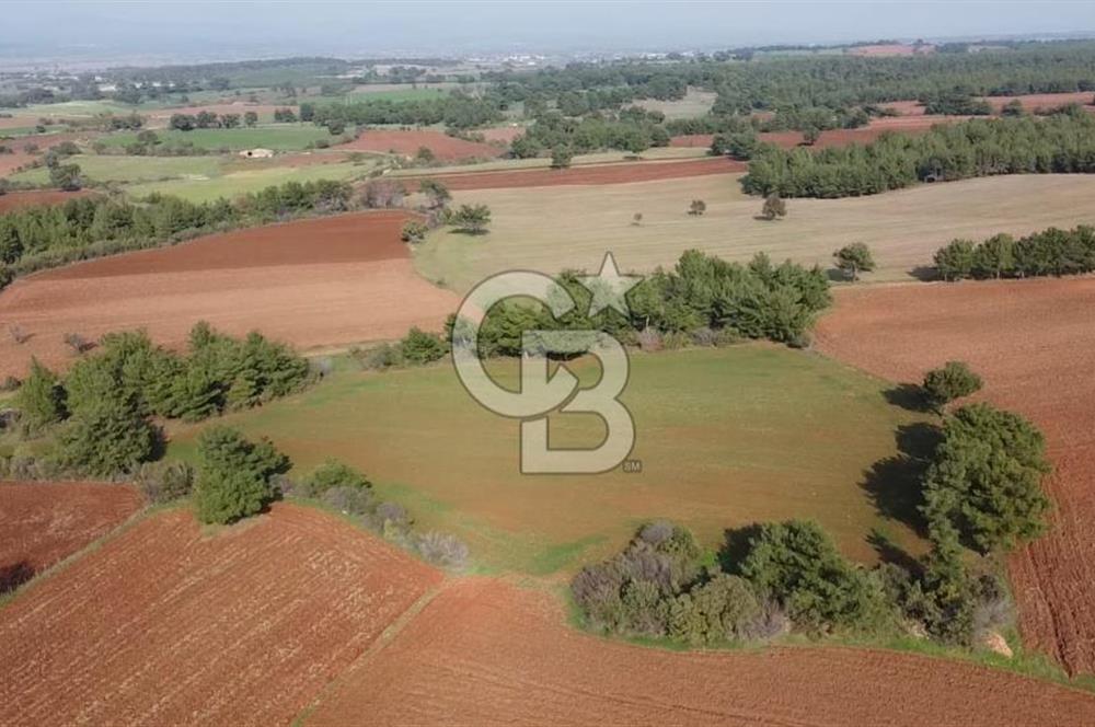 ÇANAKKALE BAYRAMİÇ YAHŞİELİ KÖYÜNDE 6.5 DÖNÜM YATIRIMLIK TARLA !!!