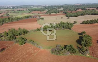 ÇANAKKALE BAYRAMİÇ YAHŞİELİ KÖYÜNDE 6.5 DÖNÜM YATIRIMLIK TARLA !!!